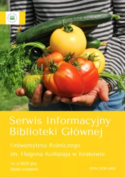 grafika ilustracyjna
