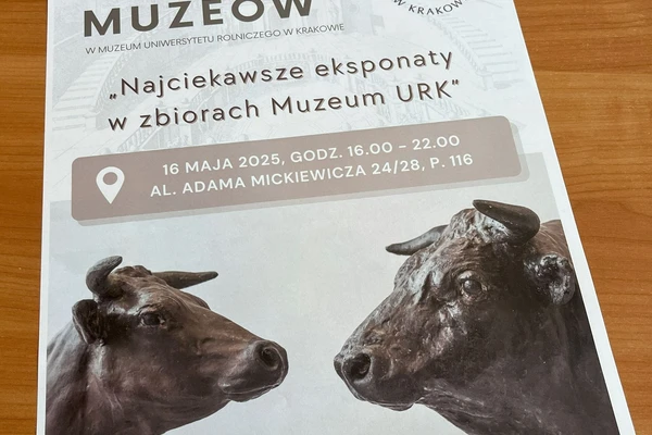 grafika ilustracyjna